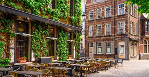 Antwerpen breekt uit: stenen eruit, groen erin