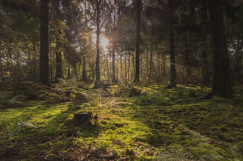 IGOV Kenniscafé Licht op Landschap