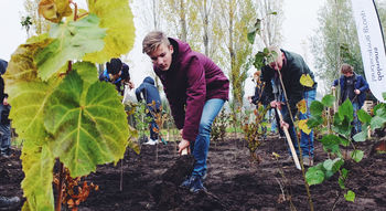 Webinar: ‘Tiny Forest: klein bos, groot avontuur’