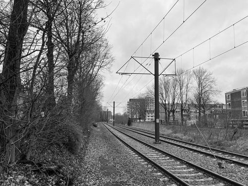 Bomen trambaan