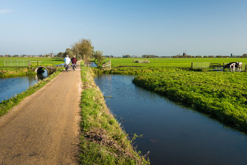 Fietsen in de natuur