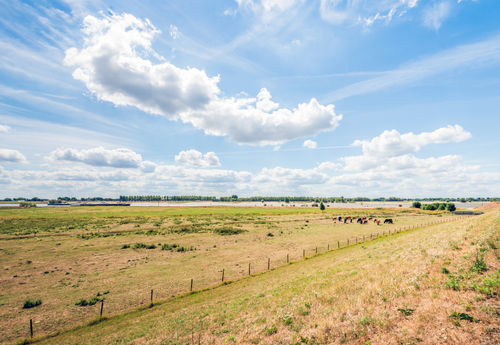 Droogte