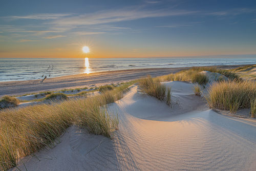 Natuur in Nederland