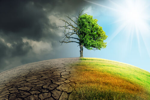 Klimaat