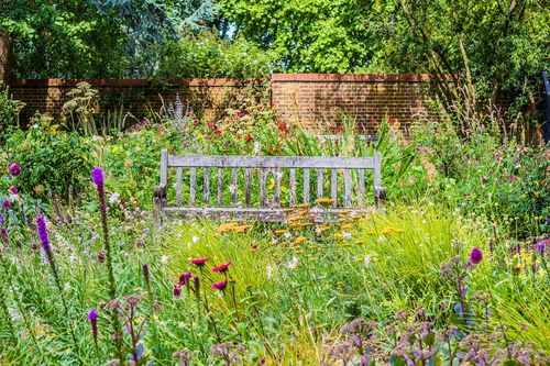 Tuinonderzoek: 81% wil aan de slag met natuur