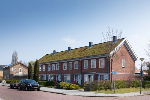 Project Dakenstroom van Casade wint award voor natuurinclusief bouwen