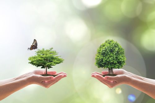 Biodiversiteit terugbrengen met prijs