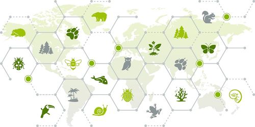 Grootschalig onderzoek naar volledige Nederlandse biodiversiteit