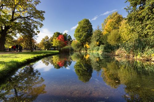 Amsterdam test ultieme groeipositie bomen
