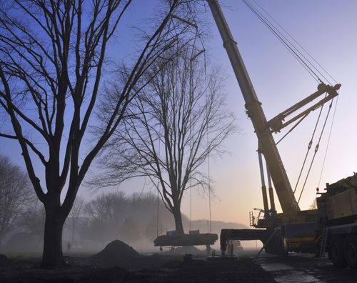 Masterclass i-Tree