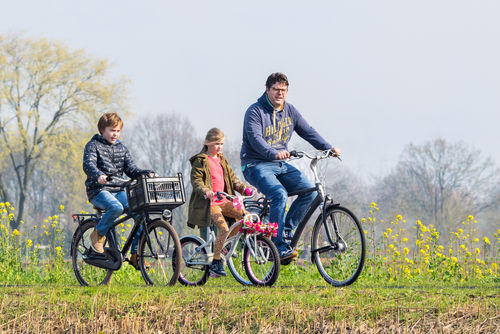 De vijf pijlers van het Nederlandse fietsgebruik