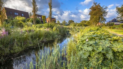 Groene Stad Challenge 2021