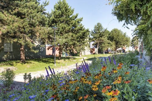 Almere werkt aan een groene, gezonde stad voor de toekomst