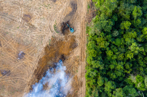 Integrale aanpak cruciaal voor aanpak vraagstukken klimaat, biodiversiteit en milieuvervuiling