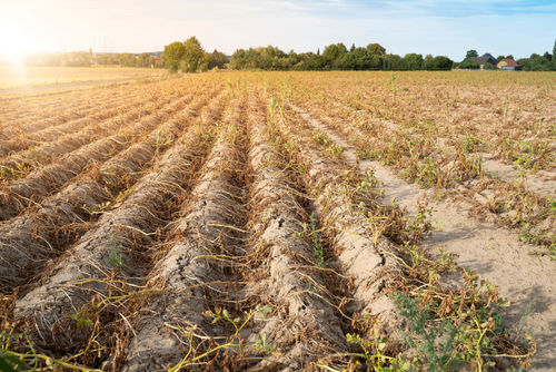 'Geen maatregel groot genoeg in strijd tegen klimaatverandering'