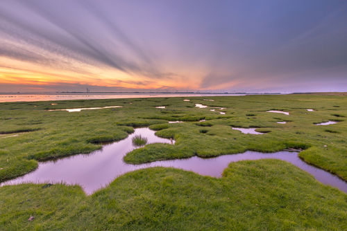 Groot potentieel voor natuurlijke klimaatbuffer