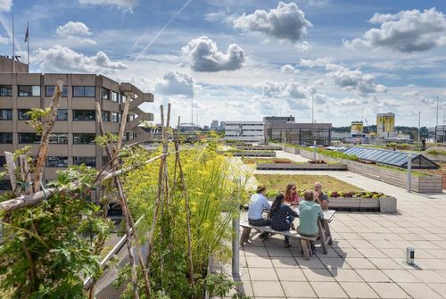 Nationale Omgevingsvisie voor toekomstbestendig Nederland