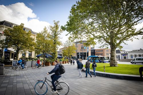 Ruimte voor de voetganger in Shared Space