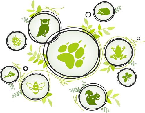 Veel Nederlandse ecosystemen staan er slecht voor