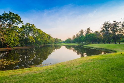 Veel uitstoot door Nederlandse stadsvijver