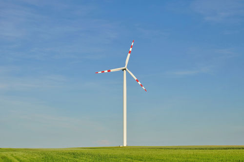 Rotterdams College moedigt duurzame innovaties aan