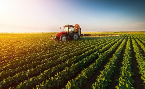 Noord-Holland krijgt voedselbos en agroforestry