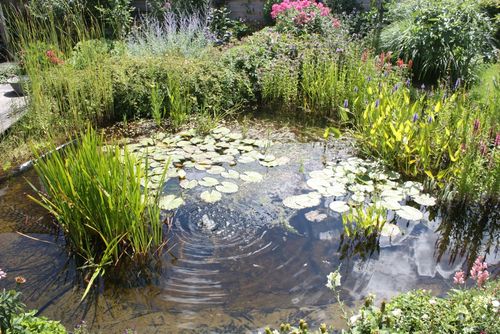Help de stad zweten met water en groen