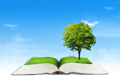Schrijf mee aan het Woordenboek Natuurinclusief Bouwen