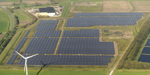 Zonneparken blijken broedplaats voor biodiversiteit
