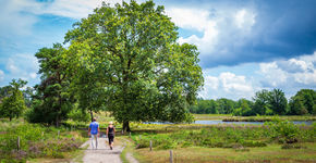 Wandelen in de natuur