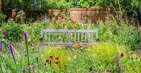 Tuinonderzoek: 81% wil aan de slag met natuur