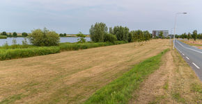 Klimaatverandering is merkbaar in Flevoland