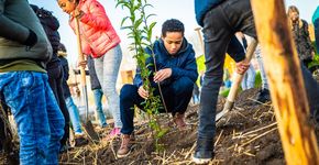 Schrijf je in voor een Tiny Forest