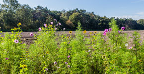 Samen voor Biodiversiteitsprijs voor boeren en particulieren