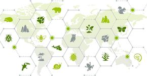 Grootschalig onderzoek naar volledige Nederlandse biodiversiteit