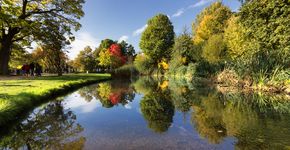 Amsterdam test ultieme groeipositie bomen