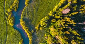 Kleine bossen biodiverser dan grotere bossen