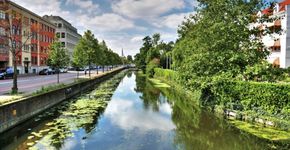 Minder zelfmoord in groene gemeente