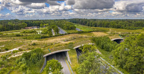 Faunapassages dragen bij aan biodiversiteit, volgens onderzoek