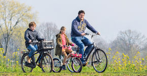 De vijf pijlers van het Nederlandse fietsgebruik
