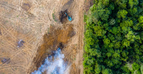 Integrale aanpak cruciaal voor aanpak vraagstukken klimaat, biodiversiteit en milieuvervuiling