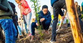 Een Tiny Forest in jouw gemeente? Zo regel je het.