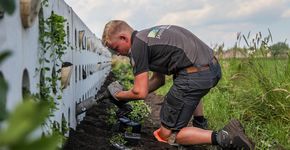 Keerwand die biodiversiteit bevordert