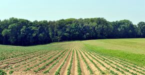 Landbouwramp officieel erkend in Vlaanderen