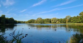 Boominventarisatie landschapspark Madestein Den Haag