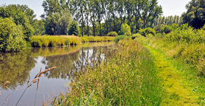 Wandelaar via Groene Haltes sneller in natuur