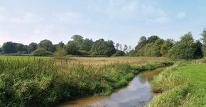 ‘Natuurinclusief bouwen moet aansluiten bij oorspronkelijke landschap’