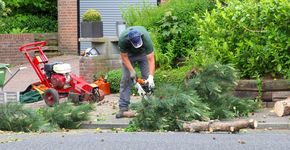 Burgerparticipatie in het groene domein; hoe doe je dat?