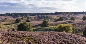 Nederlands landschap staat onder druk