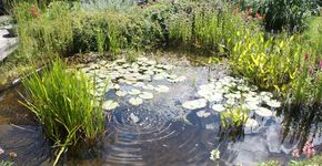 Help de stad zweten met water en groen